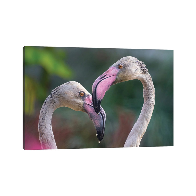 Love Bird by Goran Anastasovski - Wrapped Canvas Print, 30.48 cm H x 45.72 cm W