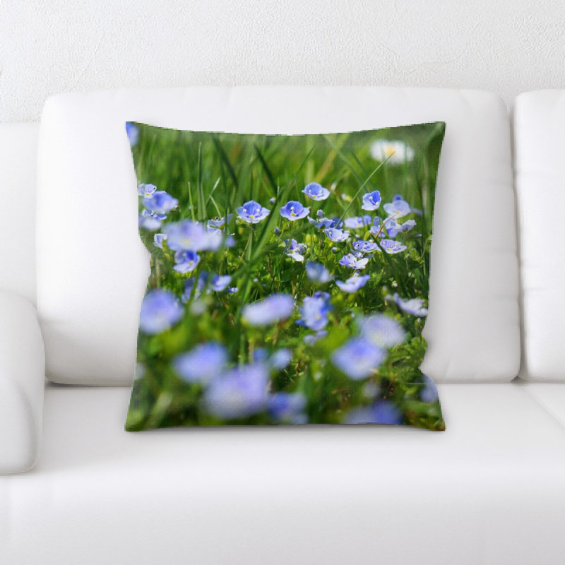 Coussin chamaedrys