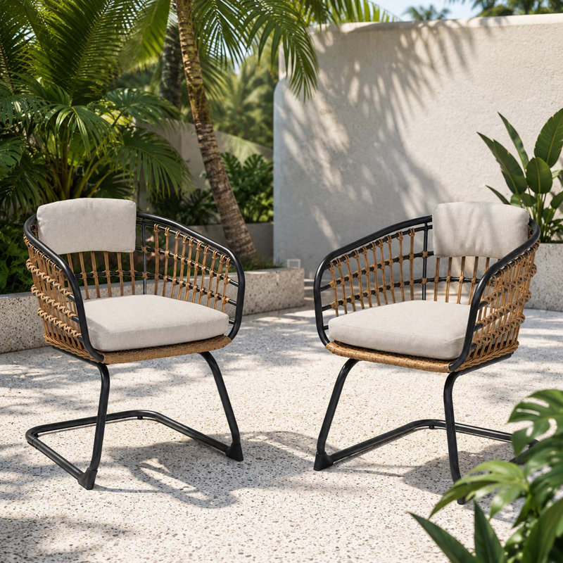 Ensemble de 2 chaises en osier