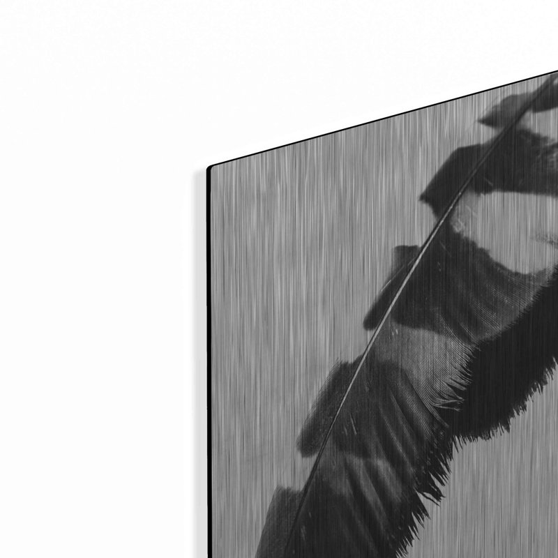  «Feather Shadow II White» par Debra Van Swearingen, art mural en métal, 12 po x 16 po, H 16 po x l 12 po