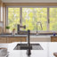 Alfi Brand LEON Kitchen Faucet-10377201