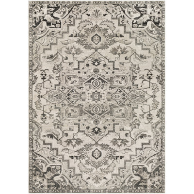 Minneapolis Oriental Indoor Rug