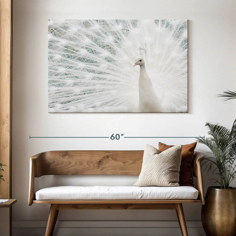 Plume de paon blanc neige Brampt, H 32 po x l 48 po