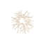 Cast Root Wall Decor, Faux Bleached