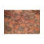 Floral Area Rug