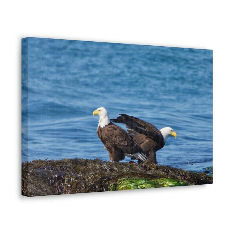 No Frame Print on Canvas, 27.94cm H x 35.56cm W