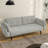 Raducu 74.9'' Flared Arm Convertible Sleeper Sofa-1371831602