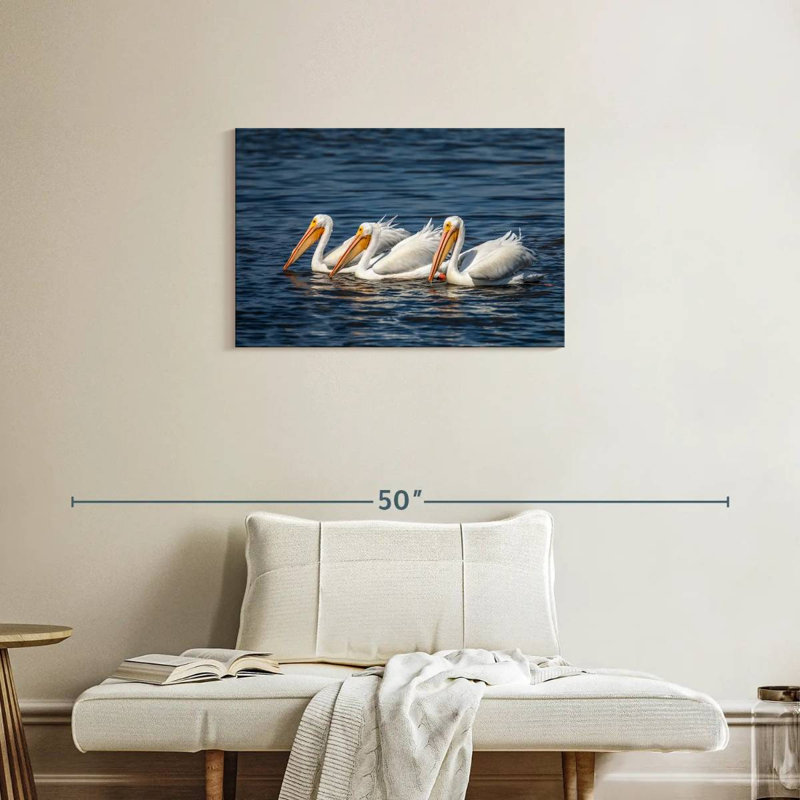 Bramic Ding Darling White Pelicans, H 20 po x l 30 po