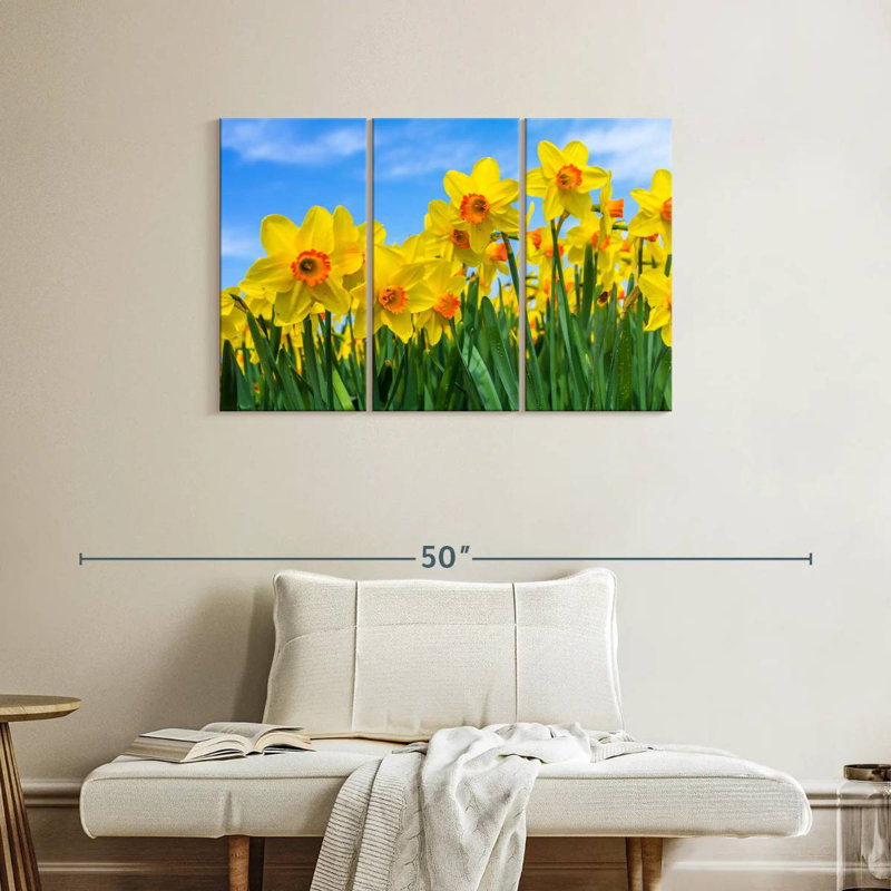 Harnek Summer Daffodils, 24" H x 38" W