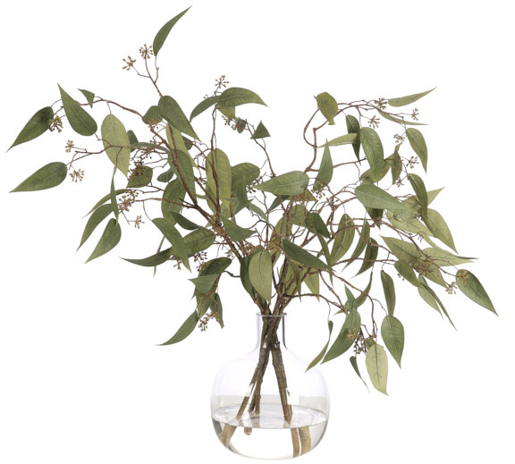 Eucalyptus, Green, Glass Jug, 29wx26dx23h