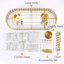 Antaniyah 8 - Light Crystal Chandelier