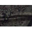 Wool Oriental Area Rug in Black/Green/Rust