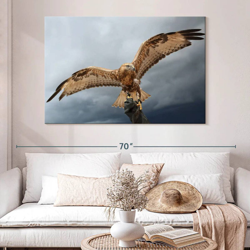 Brampt Falcon On Gauntlet, 34" H x 51" W