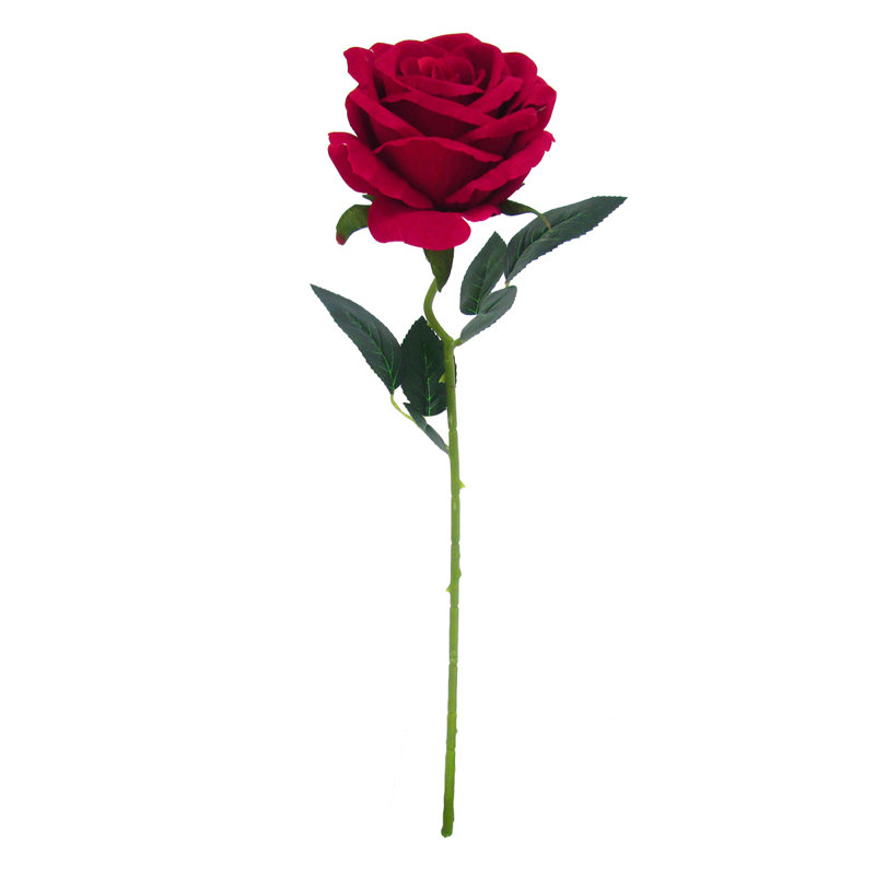 Tige de velours roses, Rouge