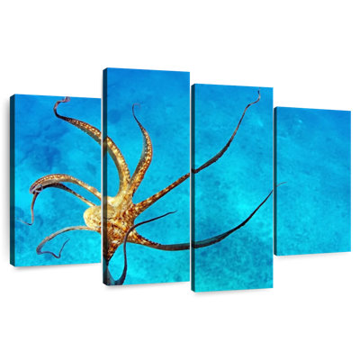 Tentacules de pieuvre sauvage Brampt