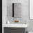 Bathroom Mirrored Cabinet