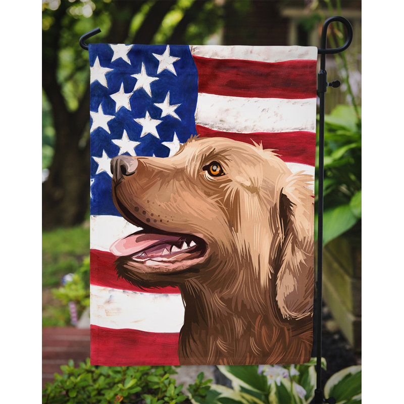 Polyester à 2 côtés 15 x 11 po drapeau de jardin, Terrier tchèque