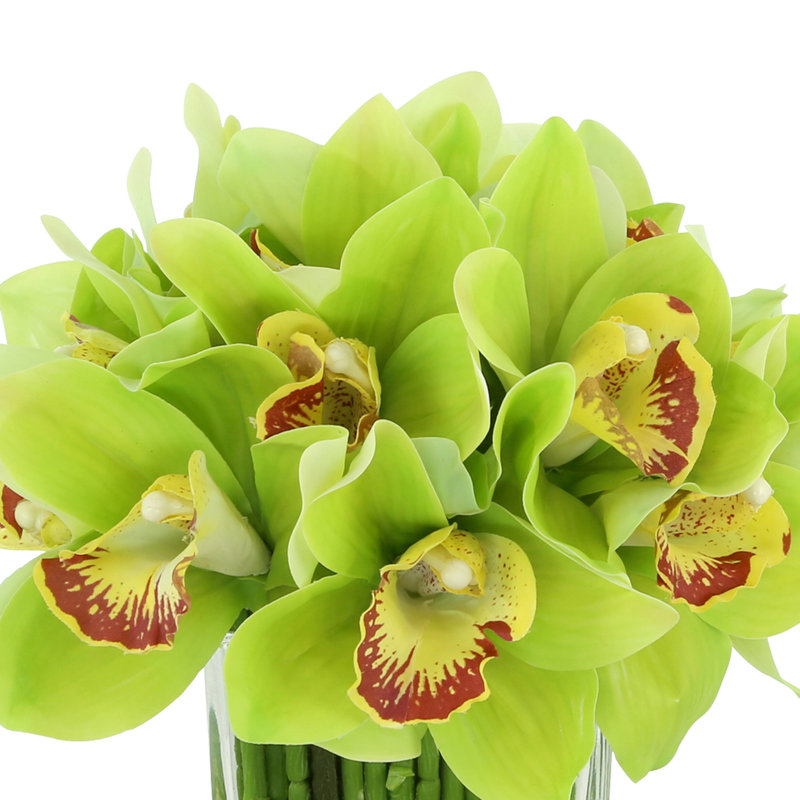 Orchidée Lehn dans un vase en verre, Jaune/vert
