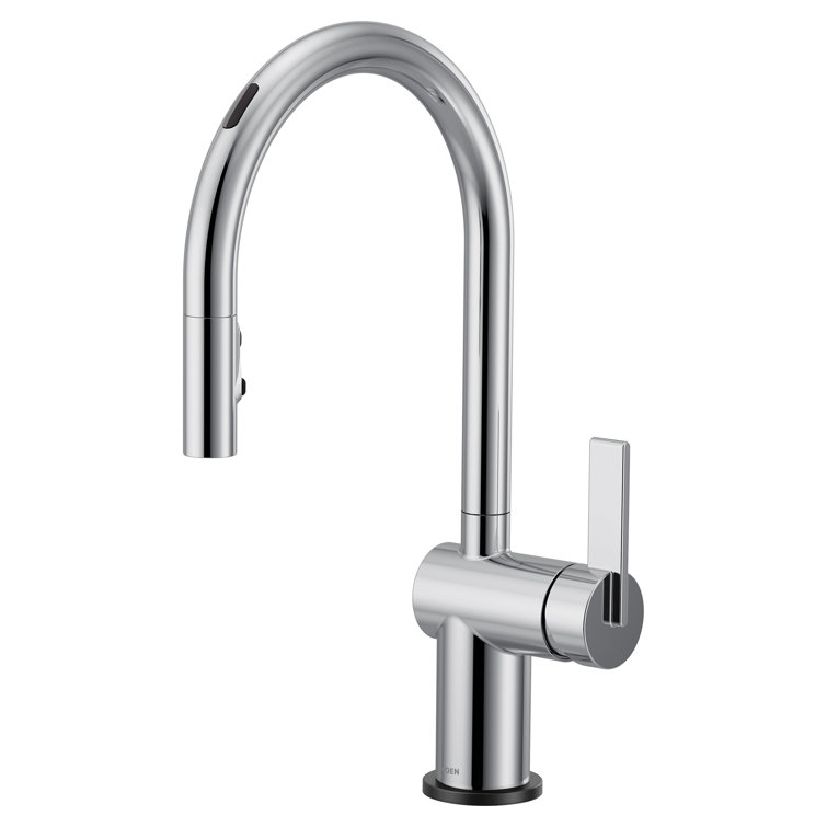 Cia Pull Down Single Handle Kitchen Faucet