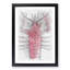 The Pink Lobster - Picture Frame Painting Print-56854965-56854969