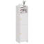 Holtby Bathroom Storage Cabinet With 2 Doors And Adjustable Shelf