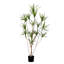 72 plantes