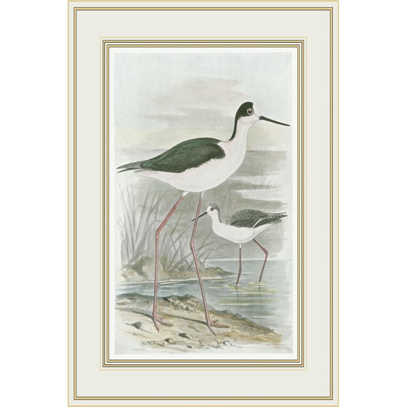 Winged Stilt - Wrapped Canvas Print, 46cm H x 30cm W x 3.8cm D