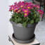 Pot à fleur intérieur / extérieur en plastique Terra-317655727-317655703