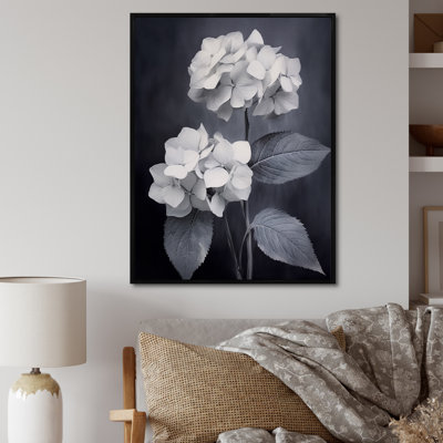 " Black White Hydrangea Blooming II "