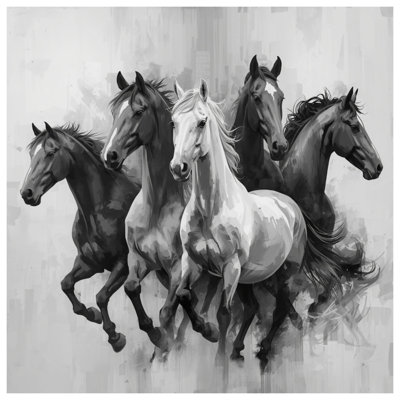 Groupe de couvertures pour chevaux