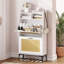 Amillya 6 Pair Shoe Storage Cabinet