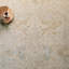 Oriental Area Rug-775907085