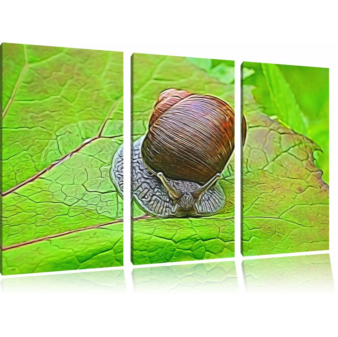 3-tlg. Leinwandbilder-Set „Kleine Schnecke mit Schneckenhaus“, Grafikdruck