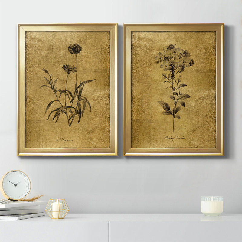 Gold Framed Botanical Sketch Canvas Print Set