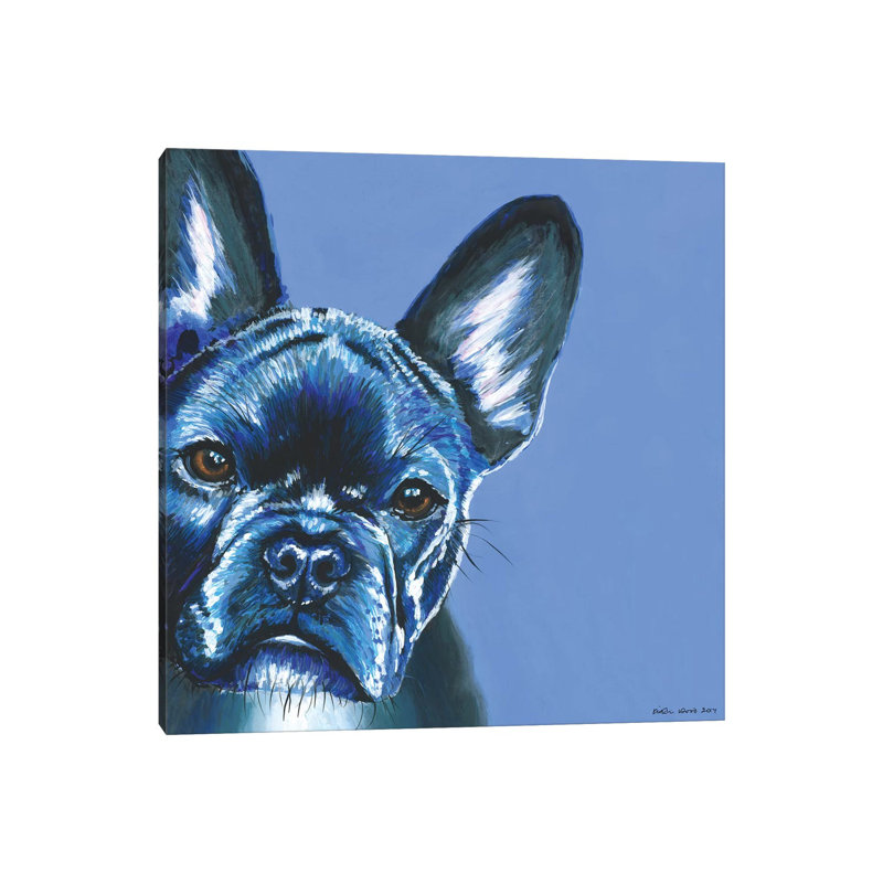 French Bulldog On Blue, Square by Kirstin Wood - Painting on Canvas, Wrapped Canvas, 66.04 cm H x 66.04 cm W x 1.91 cm D