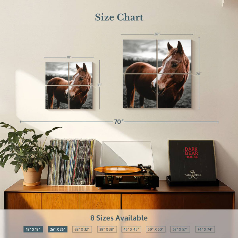 Brampt Shining Horse