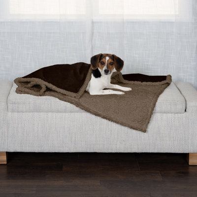 Snuggly & Warm Soft-Edge Warming Waterproof Blanket