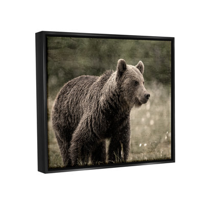 «Brown Bear Wildlife», reproduction sur toile