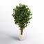 72'' Faux Ficus Tree in Ceramic Planter