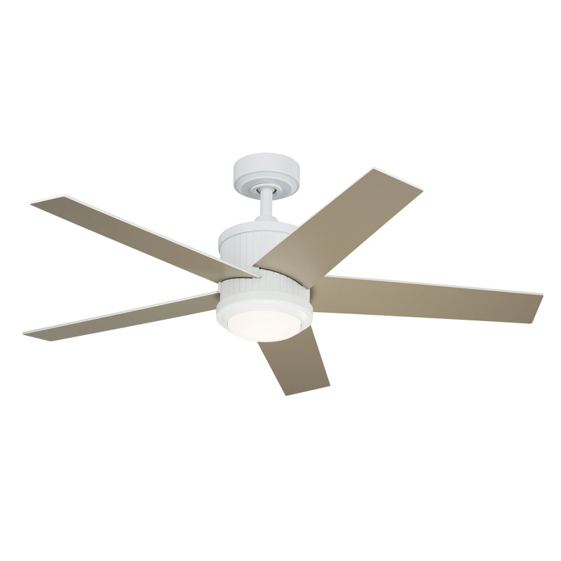 Brahm 48'' Ceiling Fan with LED Lights