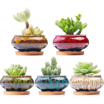 Burner Ceramic Succulent Pots Set Of 5