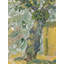 Terre Divine - Temple | Acrylique sur toile | Par Jones Jean