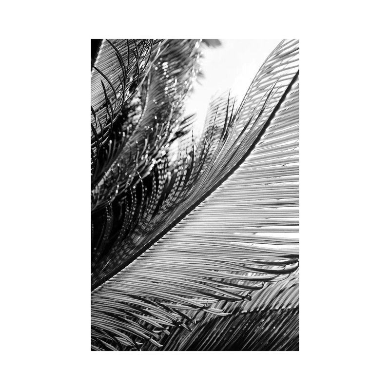 Tropical by Honeymoon Hotel - Wrapped Canvas Print, 30.48 cm H x 45.72 cm W