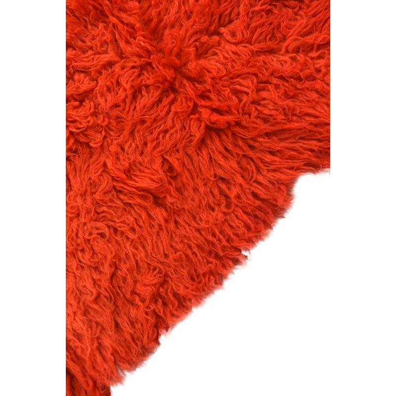 Runner Phillippi Orange Rug