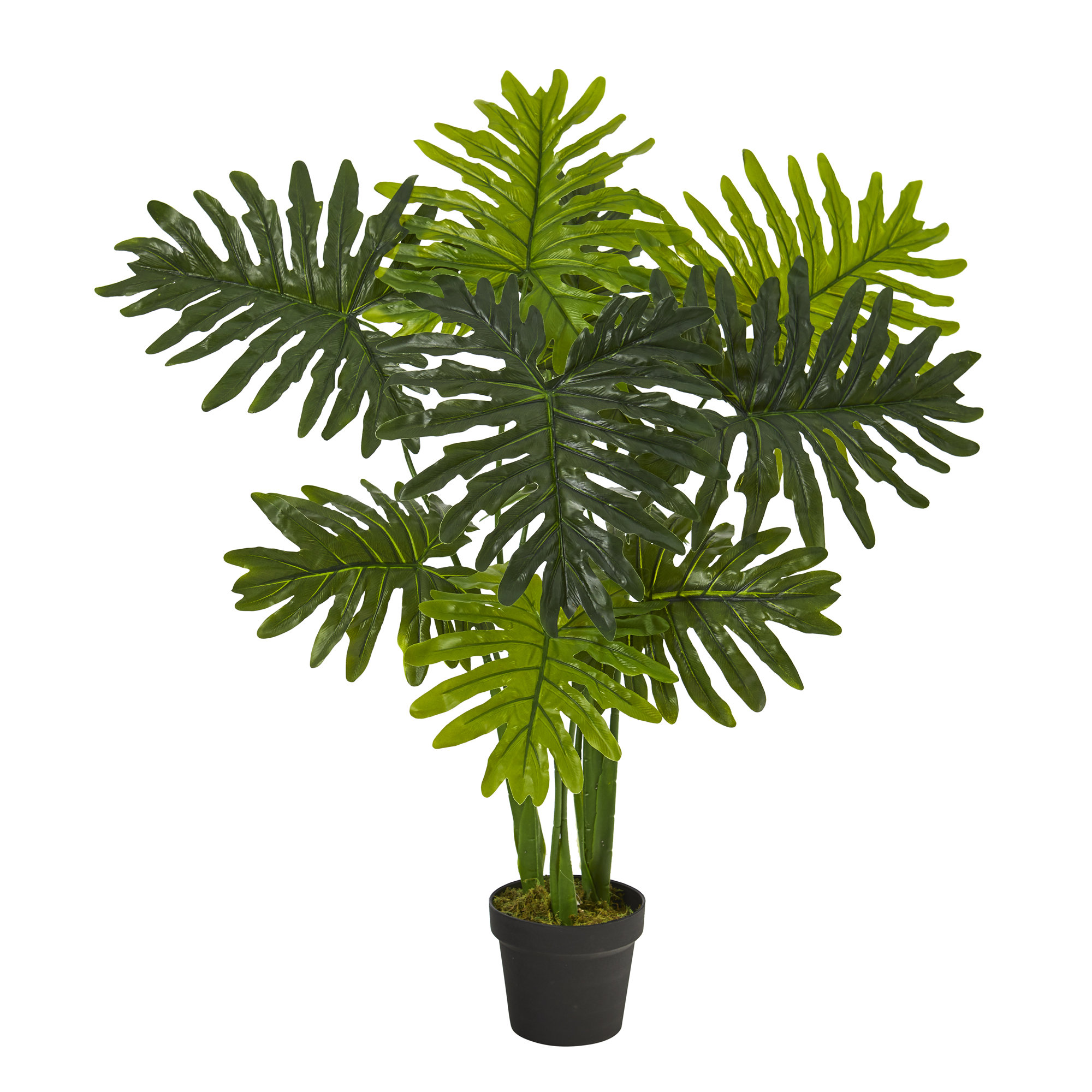 Faux Philodendron Plant in Nursery Pot, 40" H x 18" W x 18" D