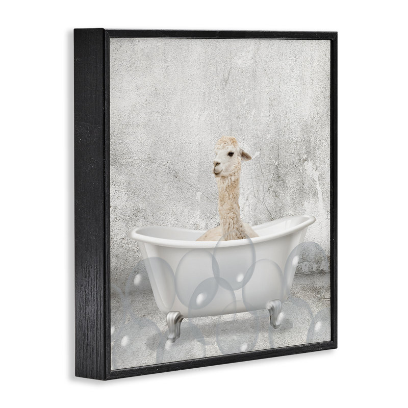 «Baby Llama Bath Time», reproduction d'impression, H 12 po x l 12 po, Giclée encadrée noir minuit