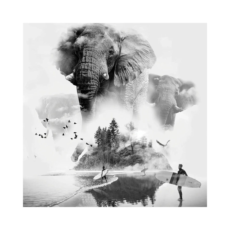 Elephant In The Mist Surfer by David Loblaw - Print on Canvas, Wrapped Canvas, 66.04 cm H x 66.04 cm W x 1.91 cm D