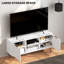 TV Stand with 2 Open Shelves and 2 Cabinets for 55 Inch TV, White