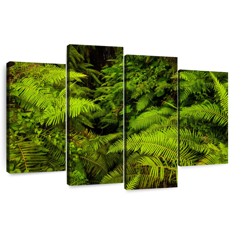 Harnek Jungle Ferns