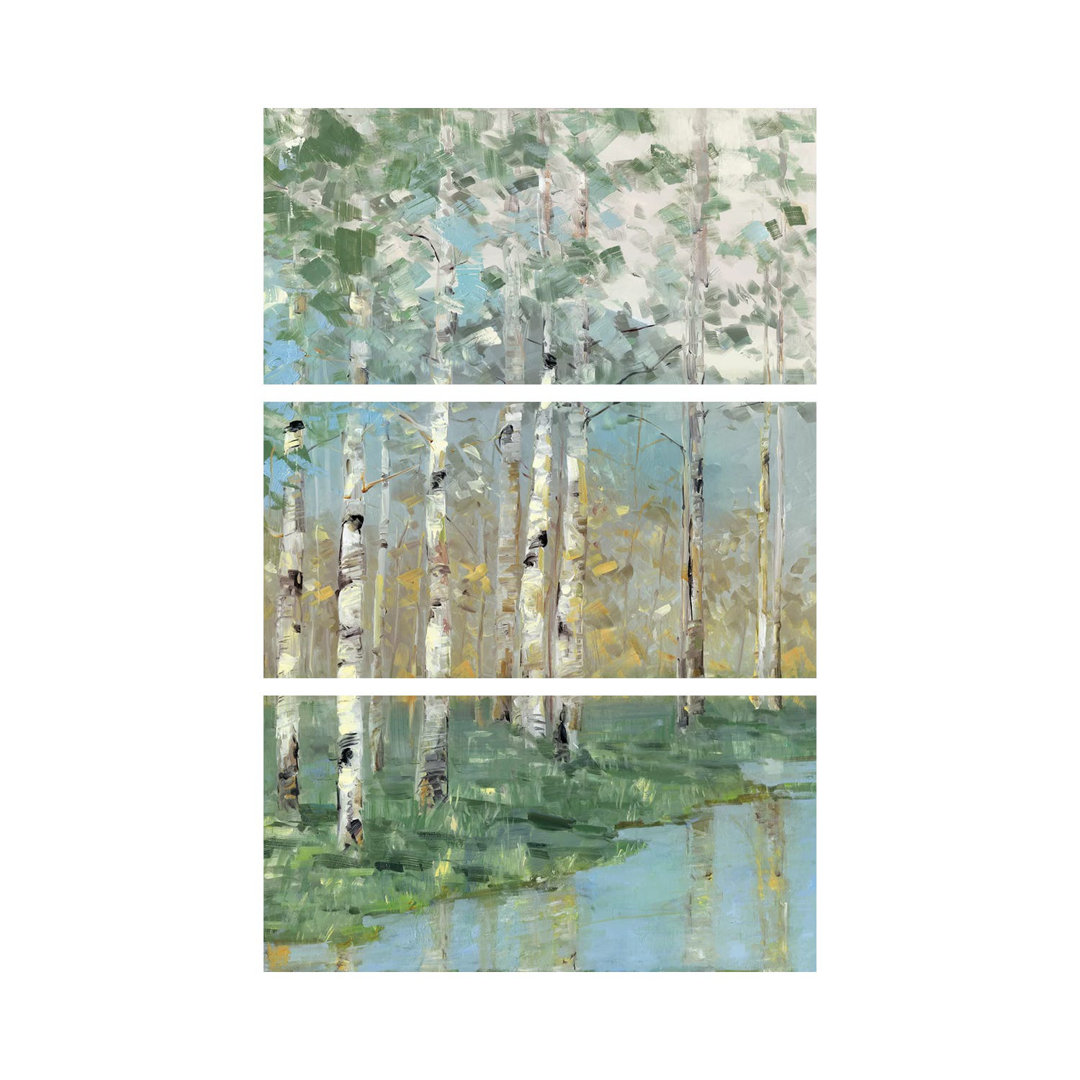 Birke Reflections I von Sally Swatland - Ohne Rahmen Galerie-verpackte Leinwand Giclée auf Leinwand